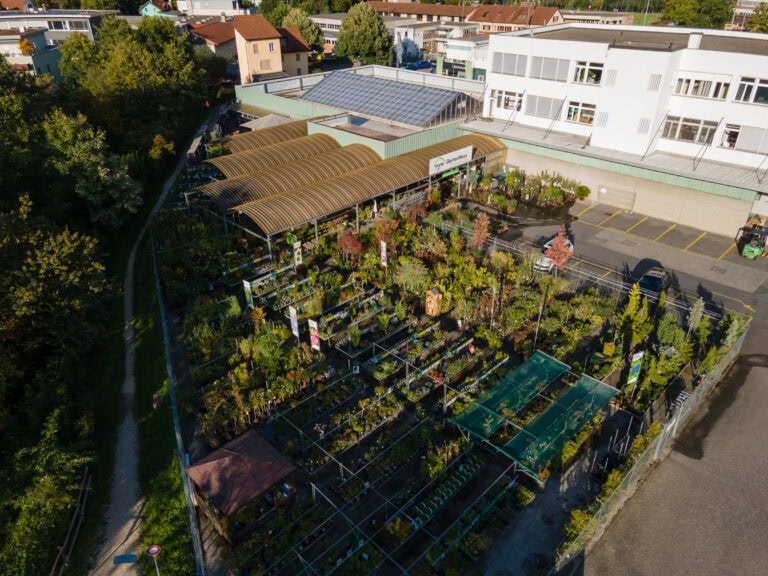 Luftaufnahme einer Gärtnerei mit Pflanzenreihen, Gewächshäusern und schattigen Bereichen; angrenzend an ein modernes weißes Verwaltungsgebäude und einen Parkplatz, mit Wohnhäusern und Bäumen im Hintergrund.