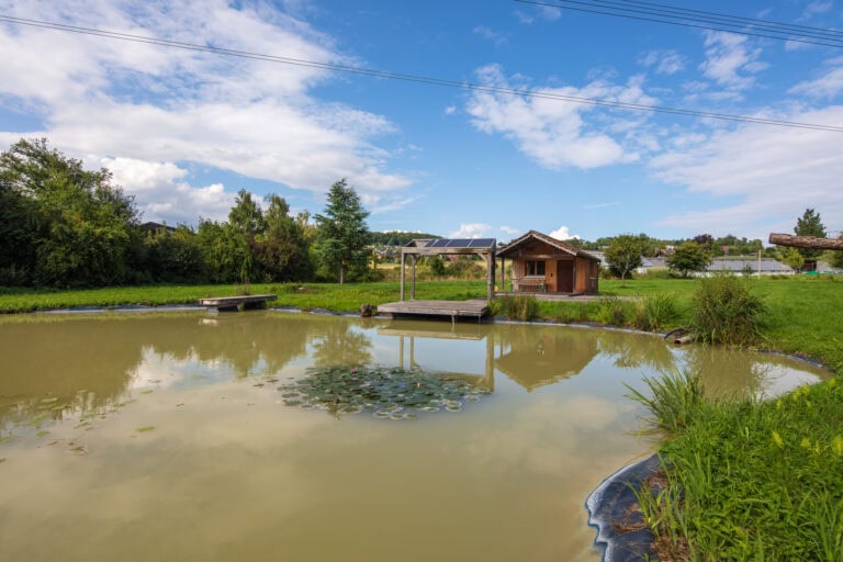 Ein kleiner Teich mit Seerosenblättern ist von grünem Gras umgeben. Ein hölzerner Steg und eine winzige Hütte mit Sonnenkollektoren, ideal für die Vermietung oder Verwaltung, liegen im Hintergrund unter einem teilweise bewölkten Himmel. In der Ferne sind Bäume und Häuser zu sehen.