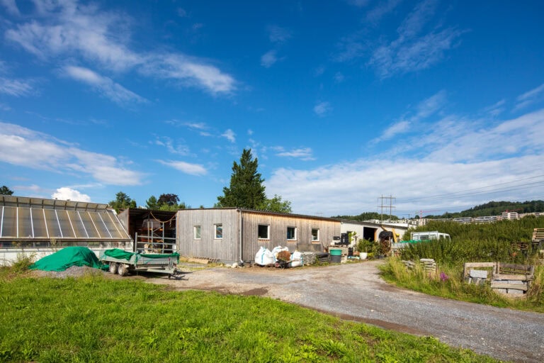 Eine ländliche Bauernhofszene mit einem hölzernen Schuppen, einem Gewächshaus und im Freien verstreuten Geräten, umgeben von grünem Gras - ein Beispiel dafür, wie Lebensräume und sorgfältige Verwaltung friedliche Landschaften unter einem strahlend blauen Himmel mit vereinzelten Wolken formen.