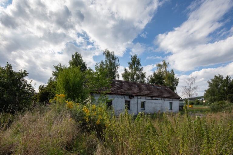 Ein kleines, altes, weißes Haus mit rotem Ziegeldach steht teilweise versteckt zwischen hohem Gras und überwucherten Büschen - ein einladender Lebensraum inmitten üppiger Bäume und einem wolkenblauen Himmel im Hintergrund.