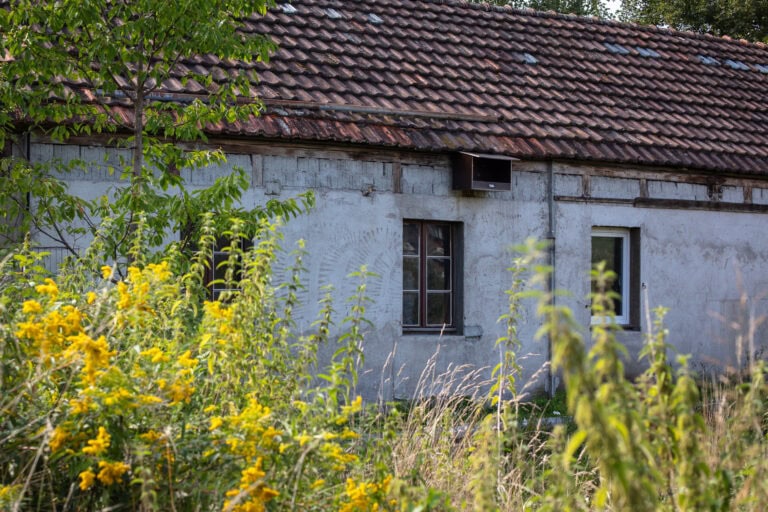 Ein altes, verwittertes Gebäude mit einem Ziegeldach und zwei Fenstern steht hinter überwuchertem Gras und gelben Wildblumen und bietet einen Blick in vergessene Lebensräume. Ein grüner, belaubter Baum auf der linken Seite verdeckt das Gebäude teilweise.