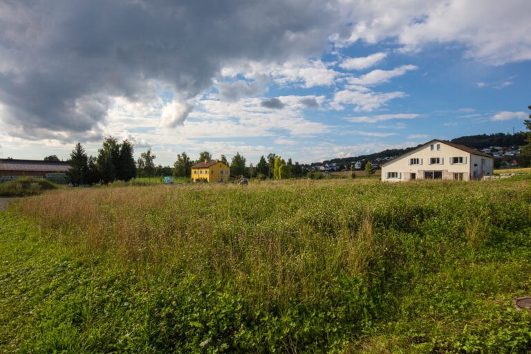 Ein grasbewachsenes Feld mit Wildblumen im Vordergrund, zwei Häuser - ein gelbes und ein weißes - stehen unter einem teilweise bewölkten blauen Himmel, ideal für Verwaltung oder Vermietung, mit Bäumen und fernen Hügeln im Hintergrund.