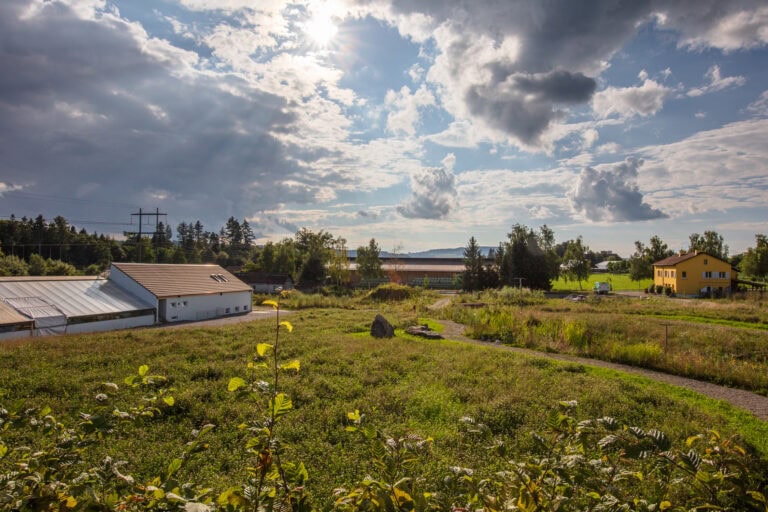 Eine sonnige, ländliche Landschaft mit vereinzelten Wolken, grünen Feldern und durchbrechenden Sonnenstrahlen, die verschiedene Lebensräume zwischen ein paar Häusern - darunter ein gelbes - und Bäumen im Hintergrund zeigen.
