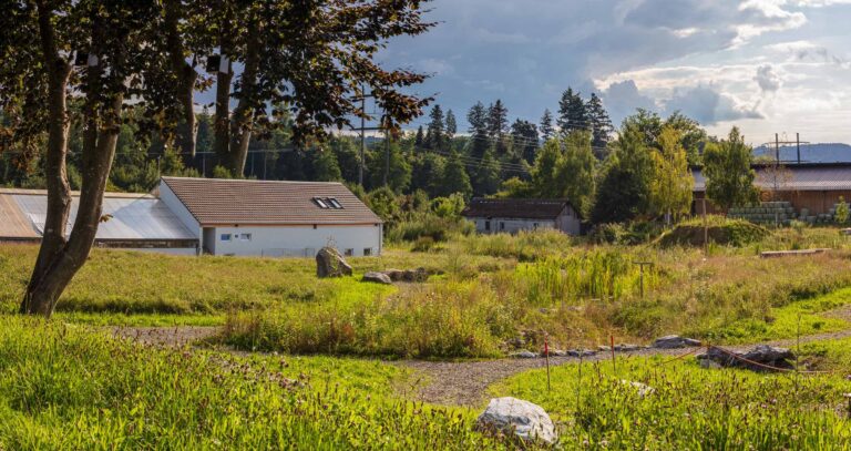 Ein grasbewachsenes Feld mit einem Feldweg, großen Steinen und verstreuten Bäumen bietet natürliche Lebensräume. Umgeben von Gebäuden mit Schrägdächern sind im Hintergrund Stromleitungen und bewaldete Hügel unter einem teilweise bewölkten Himmel zu sehen.