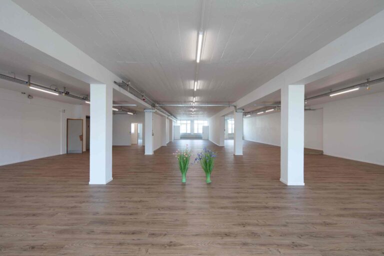 Ein großer, leerer Raum mit weißen Wänden, freiliegenden Deckenrohren und Holzböden - ideal für die Vermietung. In der Mitte stehen drei kleine Grünpflanzen in Glasvasen, während große Fenster am anderen Ende den Raum mit natürlichem Licht füllen.