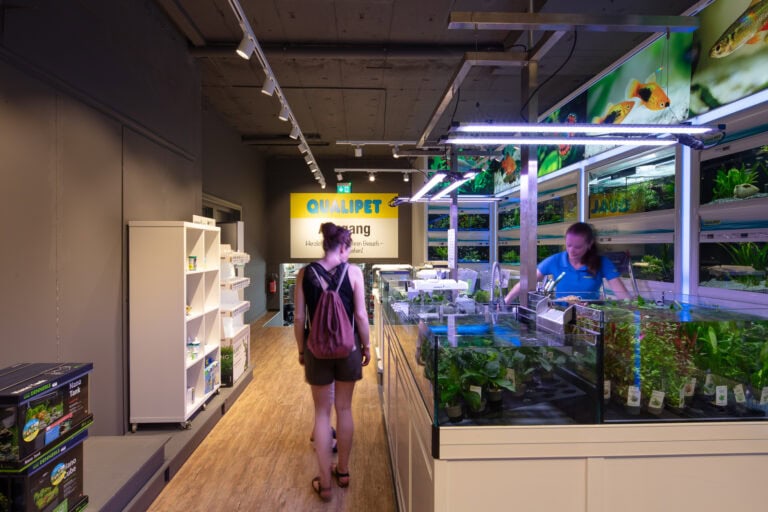 Eine Person mit einem Rucksack betritt eine gut beleuchtete Zoohandlung mit Aquarien und lebenden Pflanzen; ein Angestellter steht hinter dem Tresen. Über den Aquarien in dieser sorgfältig verwalteten Gewerbeliegenschaft hängen bunte Tierfotos.
