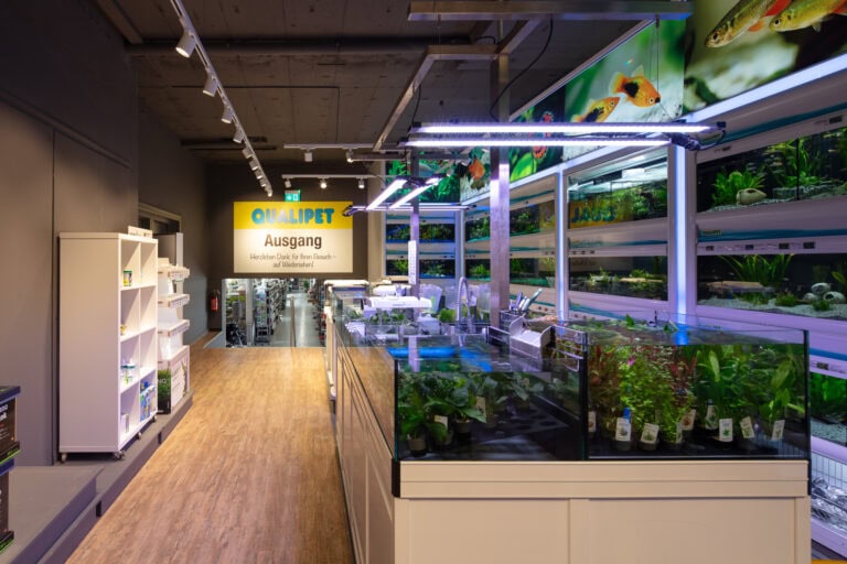 Aquariengeschäft mit großen Aquarien, in denen aquatische Lebensräume, üppige Pflanzen und lebhafte Fische ausgestellt sind. Auf der linken Seite befinden sich Regale mit Zubehör, während auf der Rückseite ein leuchtend gelbes 