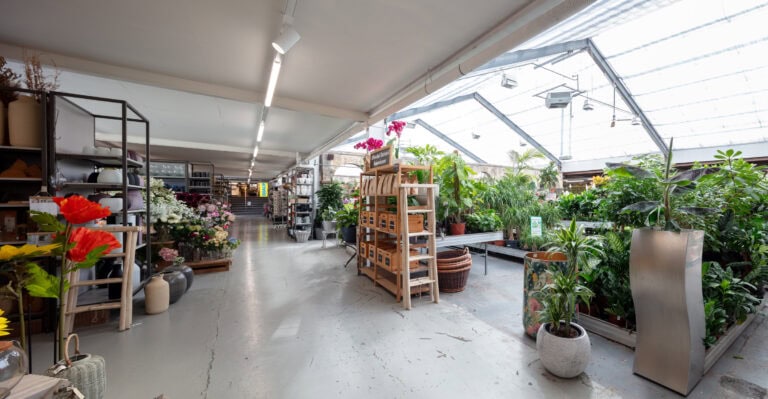 Ein geräumiges Gartencenter mit Regalen mit Topfpflanzen, Blumen und Gartenbedarf, umgeben von Grün und großen Fenstern, die natürliches Licht hereinlassen - perfekt, um Lebensräume zu entdecken und einzigartige Mietangebote zu erkunden.