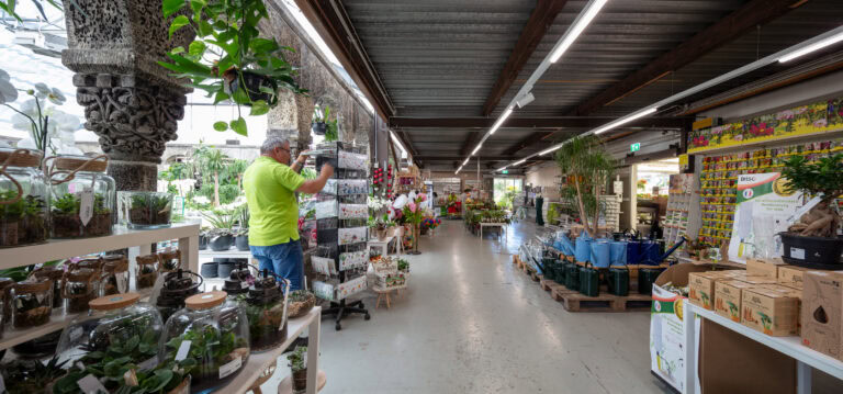 Eine Person in einem grünen Hemd arrangiert Pflanzen in Regalen in einem hell erleuchteten Gartencenter, umgeben von Topfpflanzen und Gartenbedarf - und schafft so inspirierende Lebensräume für Pflanzenliebhaber.