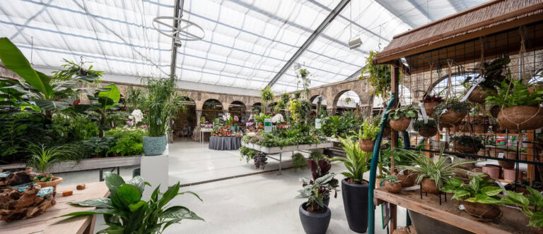 Ein geräumiges Indoor-Gartencenter mit großen Fenstern, gefüllt mit einer Vielzahl von üppigen grünen Pflanzen und Blumen auf Tischen und Regalen. Ideal für die Verwaltung oder Erkundung von Mietangeboten für Gewerbeliegenschaften in einem hellen, luftigen Raum.