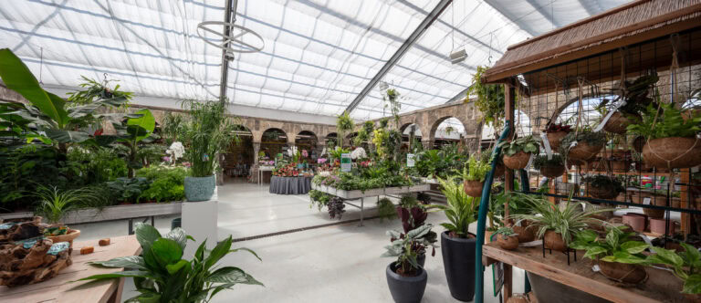 Ein geräumiges, gut beleuchtetes Gewächshaus für die Vermietung, gefüllt mit Topfpflanzen, Blumenampeln und üppigem Grün. Große gewölbte Fenster säumen die Wände und natürliches Licht strömt durch die Glasdecke.