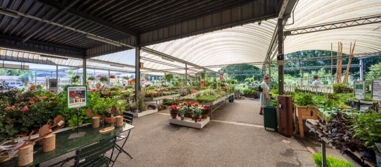 Ein überdachtes Gartencenter im Freien bietet lebendige Lebensräume mit Topfpflanzen und Blumen auf Ausstellungstischen. Eine Person steht in der Nähe der rechten Seite, umgeben von Grünzeug und Gartenbedarf, während das Sonnenlicht durch das halbtransparente Dach fällt.