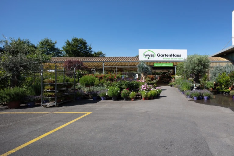 Ein Gartencenter im Freien mit vielen Topfpflanzen und Blumen, die vor einem Gewächshaus angeordnet sind, bietet Mietangebote an. Auf einem Schild über dem Eingang steht 