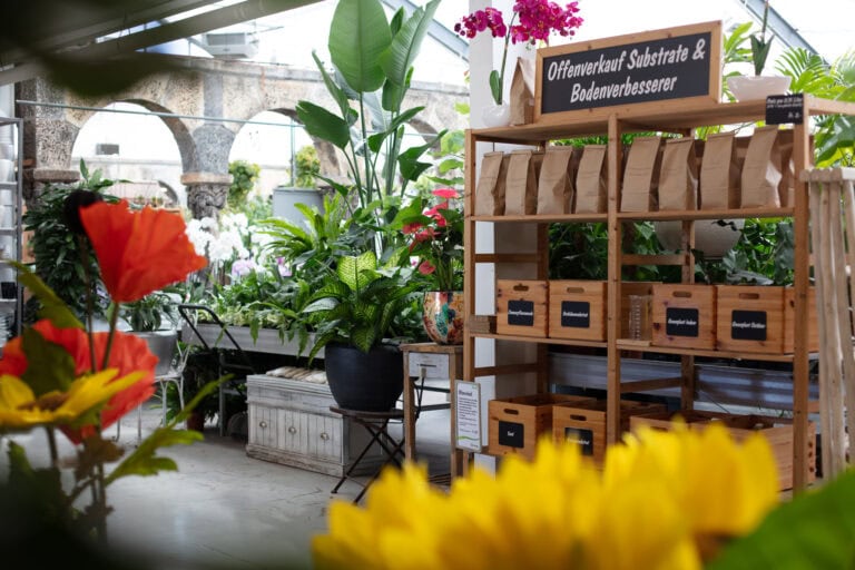 Eine Gärtnerei mit Regalen mit Tüten und Kisten, die in deutscher Sprache beschriftet sind, umgeben von leuchtenden Blumen und verschiedenen Grünpflanzen. Sonnenblumen und rote Blüten stehen im Vordergrund und schaffen bunte Lebensräume für jeden Besucher.