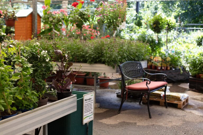 Ein Gartencenter mit Topfpflanzen auf Tischen, einer schwarzen Metallbank mit einem roten Kissen und Blumen im Hintergrund. Das Sonnenlicht fällt durch das Grün und schafft eine friedliche Atmosphäre - ideal für die Vermietung von einzigartigen Gewerbeliegenschaften.