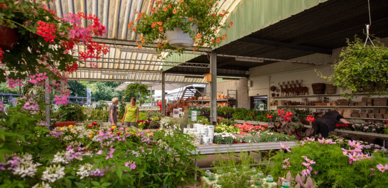 Ein Gartencenter mit bunten Blumen und Pflanzen. Zwei Personen gehen zwischen den Auslagen unter einem Metalldach umher, während sich eine Person um die Pflanzen kümmert. Hängende Körbe und Gartendekoration erhellen diese grünen Lebensräume im Hintergrund.