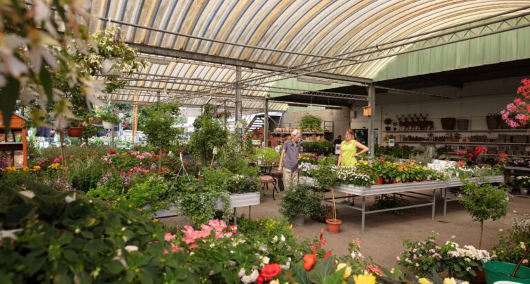 Zwei Menschen stehen in einem geräumigen Gewächshaus voller bunter Blumen und unterhalten sich über Mietangebote und Vermietung inmitten üppiger grüner Pflanzen, die auf Tischen und in hängenden Töpfen unter einem gewölbten, lichtdurchlässigen Dach ausgestellt sind.