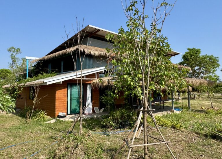 Ein modernes zweistöckiges Haus mit hölzernen Wänden und einem Strohdach stellt eine bemerkenswerte Verwandlung dar, umgeben von jungen Bäumen und Grasland unter einem klaren blauen Himmel.