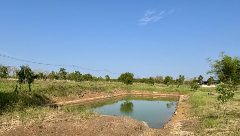 Ein kleiner Teich, umgeben von trockenem Gras und vereinzelten Bäumen, unter einem klaren blauen Himmel, mit einigen Stromleitungen im Hintergrund, deutet den stillen Transformationsprozess der Natur an, die auf die Spuren der menschlichen Präsenz trifft.