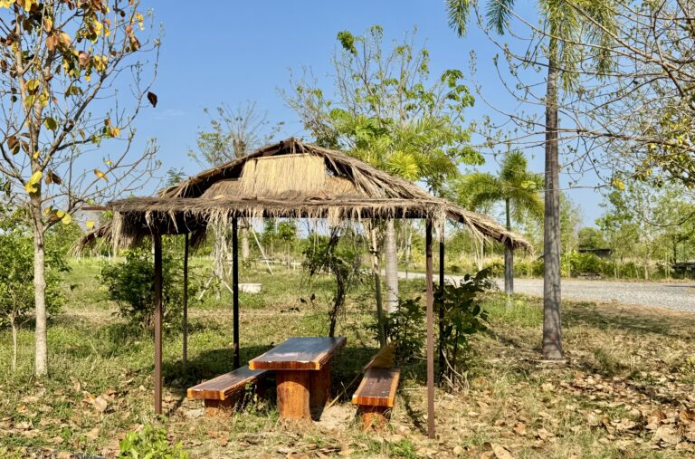 Ein rustikaler hölzerner Picknicktisch mit Bänken steht unter einem strohgedeckten Unterstand, umgeben von Bäumen und trockenem Laub - ein friedliches Plätzchen, um unter dem strahlend blauen Himmel und entlang des nahe gelegenen Weges über den Transformationsprozess der Natur nachzudenken.
