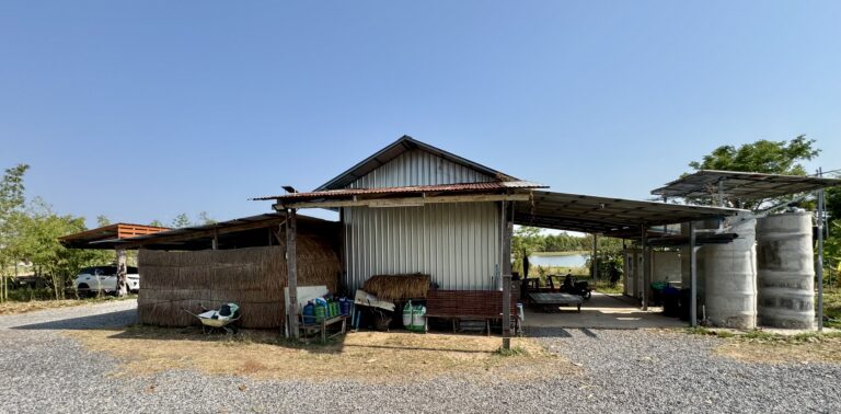 Ein einfaches ländliches Gebäude mit einem Wellblechdach und einem strohgedeckten Anbau deutet auf eine Umgestaltung hin, unter dem Wassertanks und verschiedene Gegenstände gelagert werden. Es steht auf einem Kiesgrundstück, umgeben von Bäumen und unter einem strahlend blauen Himmel.